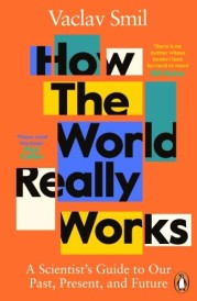 HOW THE WORLD REALLY WORKS - A SCIENTIST''S GUIDE TO OUR PAST, PRESENT AND FUTURE