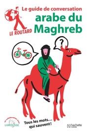 Le guide de conversation Routard ; arabe du Maghreb