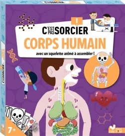 C'est pas sorcier ; corps humain : avec un squelette animé à assembler !