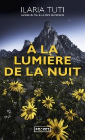 à la lumière de la nuit
