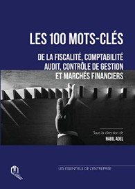 100 mots-cles de la fiscalite, comptabilite, audit, controle de gestion et marches financiers (les)