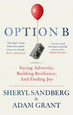 OPTION B