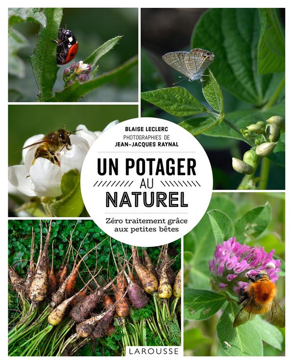 Un potager au naturel ; zéro traitement grâce aux petites bêtes