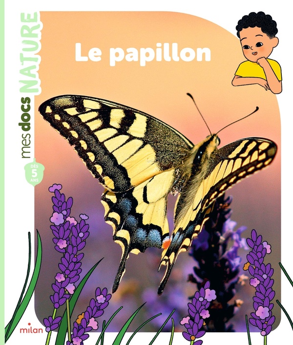 Mes docs nature : Le papillon