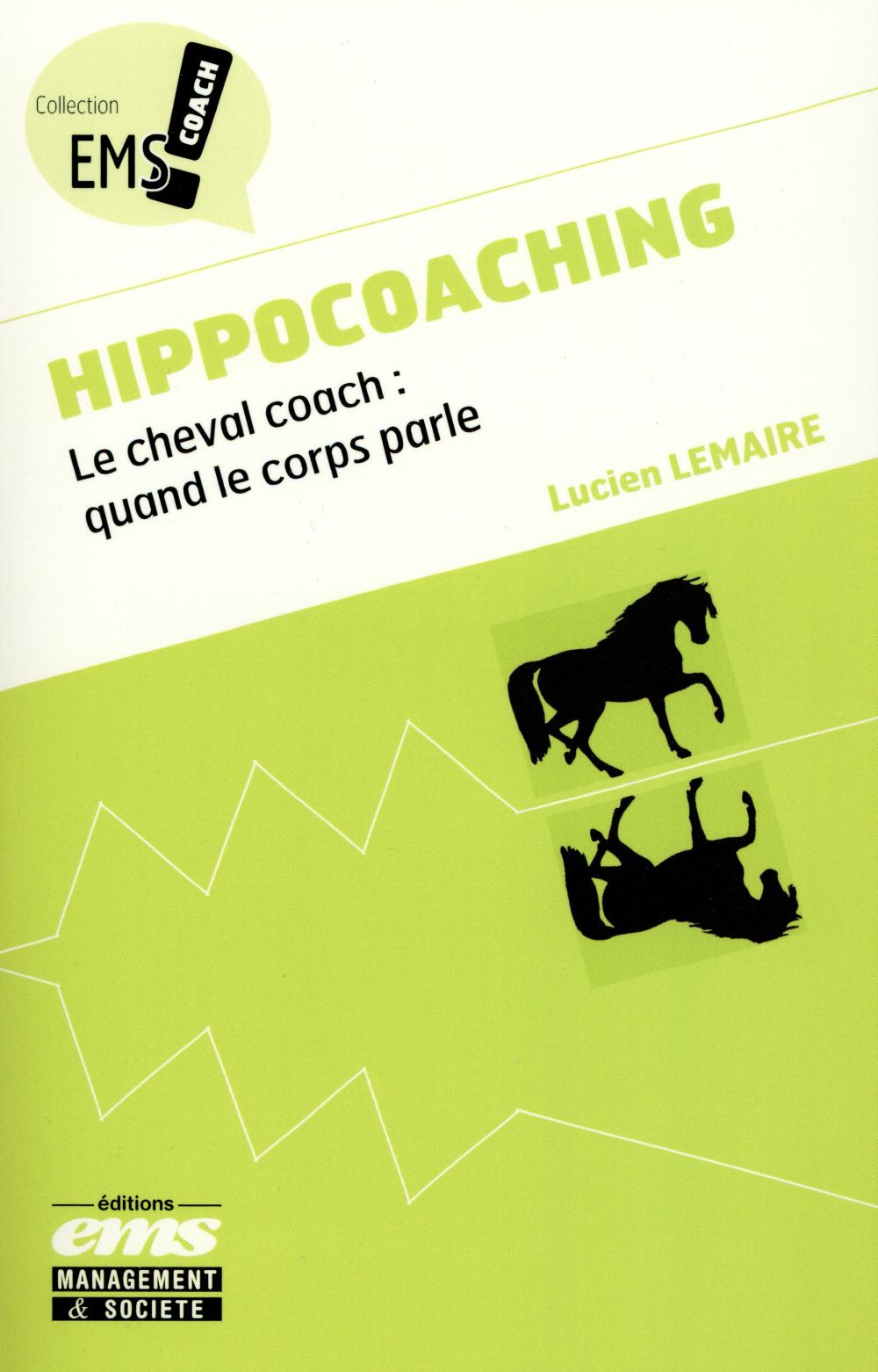 Hippocoaching ; le cheval coach ; quand le corps parle