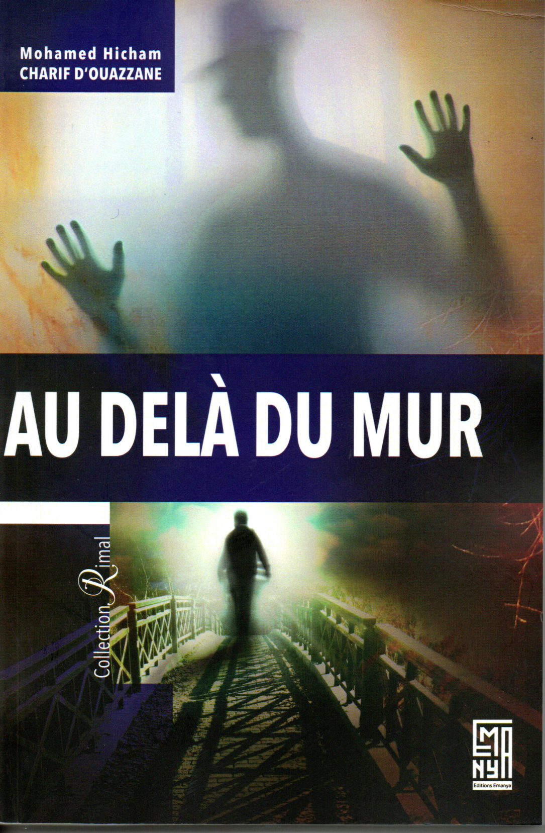 AU DELA DU MUR