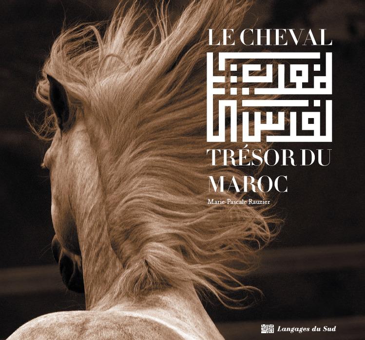 Le cheval, tresor du maroc